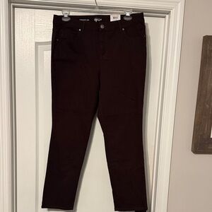 Style & Co. Chocolate Brown Jeans